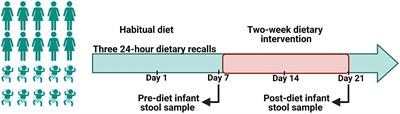 Effect of a reduced fat and sugar maternal dietary intervention during lactation on the infant gut microbiome
